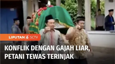 Seorang petani di Lampung Timur, Lampung, meninggal dunia akibat diinjak gajah liar yang berasal dari Taman Nasional Way Kambas. Warga berharap pengelola dapat mengatasi konflik gajah dan masyarakat penyangga.