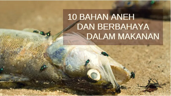 Courtesy ShutterStock.com