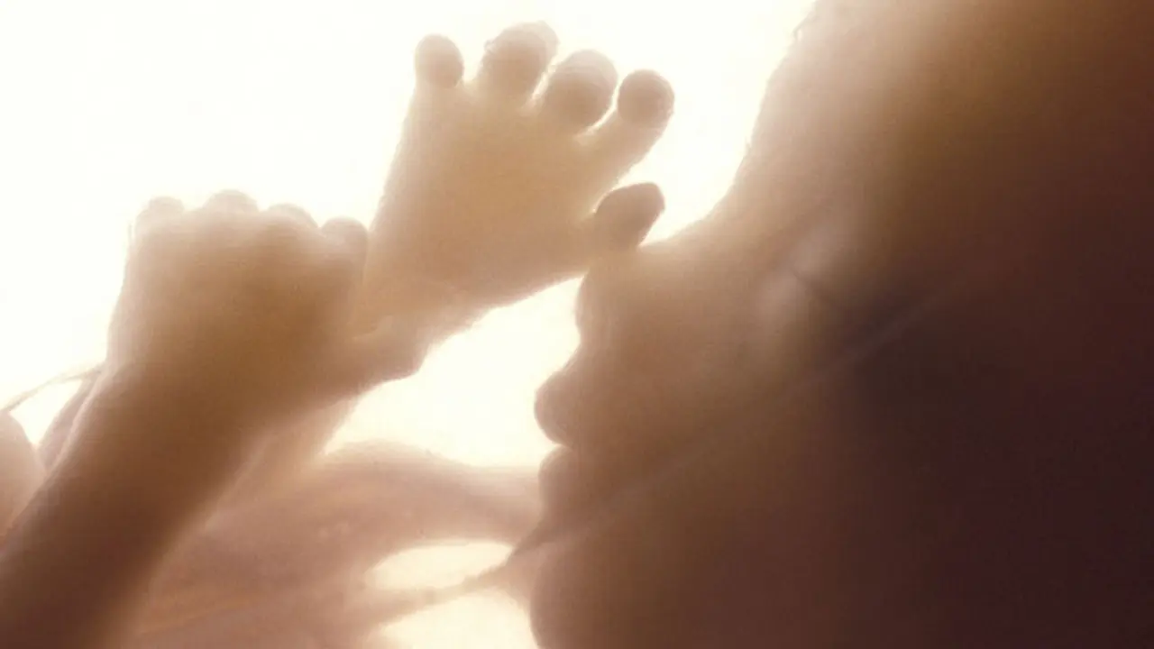 Orangtua Bisa Ketahui Kesehatan Bayi Sebelum Dikandung