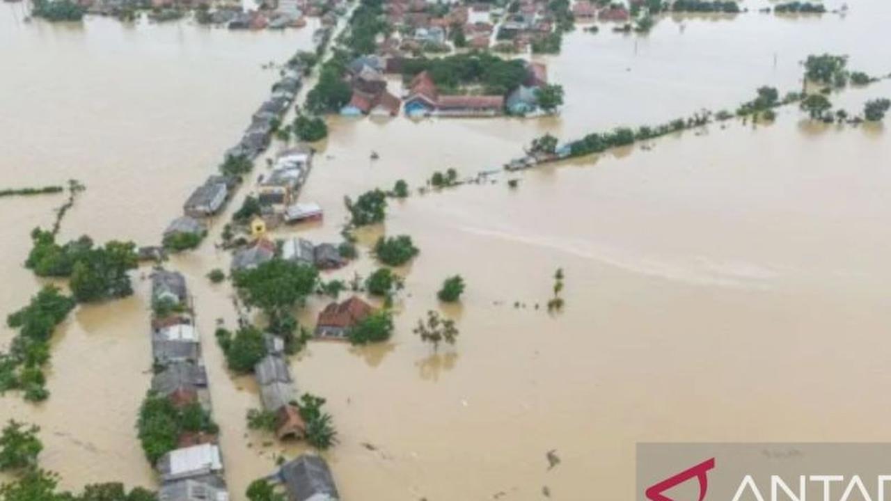 Ribuan Hektare Sawah Terendam, Dampak Parah Banjir Karawang Akibat Luapan Sungai