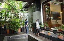 Taman Indoor Asyik, Bebas Cacing! Begini Tips Jitu Mengusirnya
