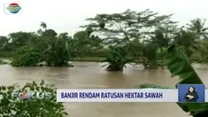 Sungai Dara yang meluap menyebabkan sawah dan kebun di Polewali Mandar, Sulawesi Barat terendam.