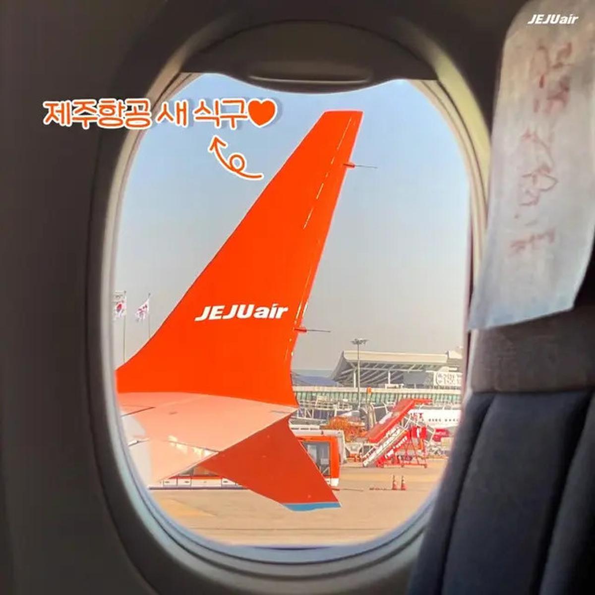 6 Fakta Dua Korban Selamat Insiden Jeju Air, Ketahui Posisi Duduk Aman di Pesawat
