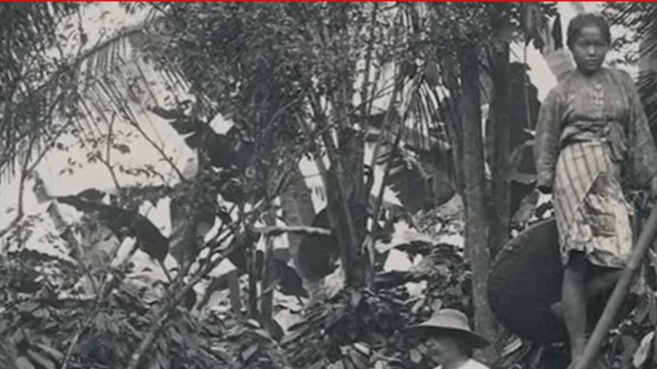 Perkebunan Bunisari