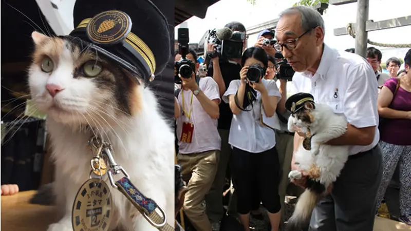 Nitama, Pengganti Tama si Kucing Kepala Stasiun