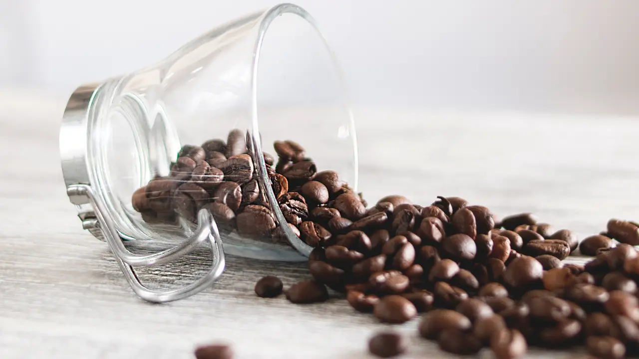 kopi