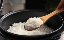 Cara Menghindari Nasi Cepat Basi di Rice Cooker, Penyebab dan Tips Agar Tahan Lama