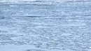 Danau Michigan tertutup salju dan es di Pantai Montrose di Chicago (17/1/2022). Badai salju Chicago diperkirakan akan membawa hingga 5 inci di sepanjang Danau Michigan. (AP Photo/Nam Y. Huh)