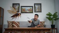 Terjebak Satu Ruangan dengan Kecoak Terbang? Ini Cara Efektif Menghadapinya