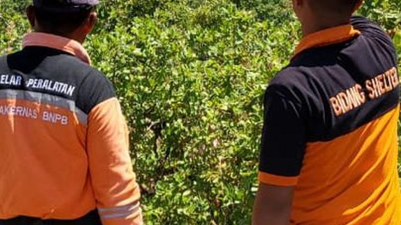Kebakaran Lereng Gunung Agung Meluas hingga 80 Hektare, Kawasan yang Terbakar Bertambah