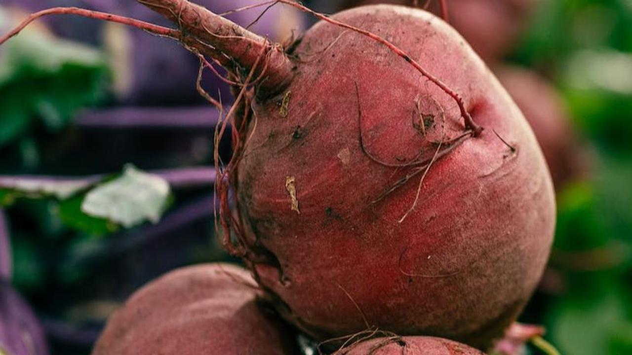 11. Buah Bit: Sumber Vitamin C dan Pewarna Alami