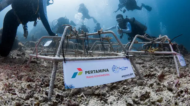 PT Pertamina Trans Kontinental (PTK) mengibarkan Merah Putih di kedalaman 12 meter sekaligus menanam 512 fragmen terumbu karang. (Dok Pertamina)