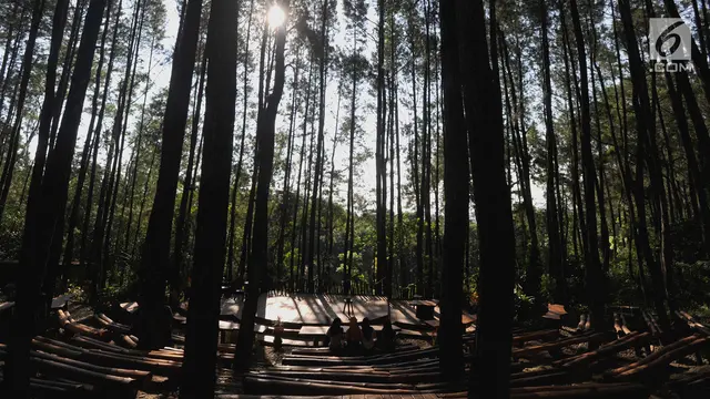 Serunya Menjelajahi Desa Wisata Kaki Langit Mangunan Dengan Mobil Jip