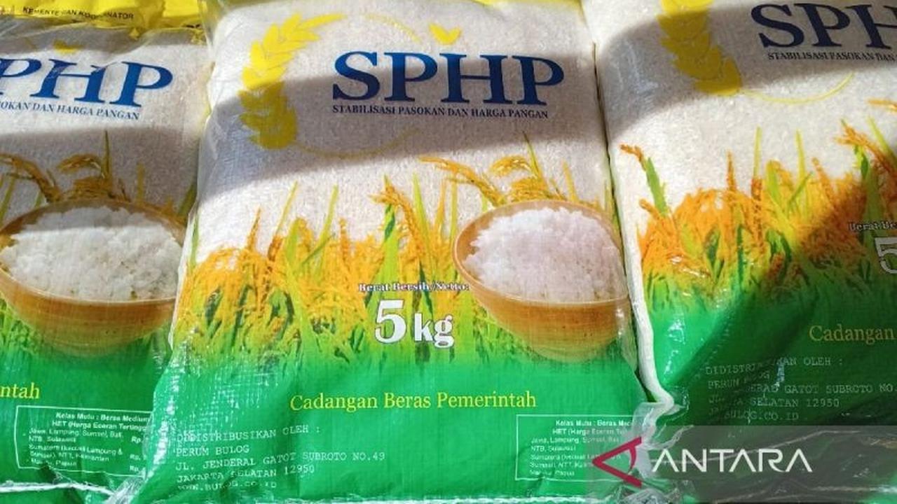 Pengamat: Mekanisme Penyaluran Beras SPHP Bulog Perlu Diubah, Padahal Stok Sudah 4 Bulan!