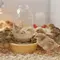 Cara Membuat Tempat Pakan Ayam Otomatis dari Botol Bekas, Ikuti 5 Langkah Mudah Ini
