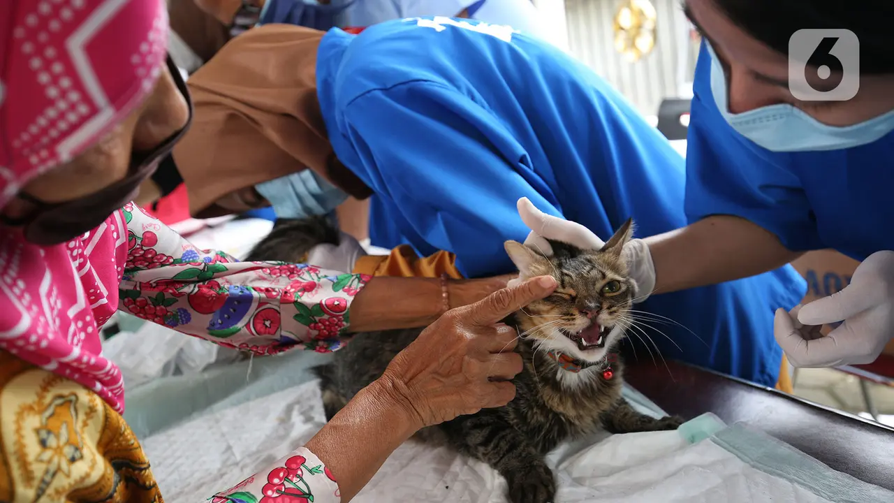 FOTO: Cegah Rabies, Hewan Peliharaan Jalani Vaksinasi Gratis di Rawa Jati