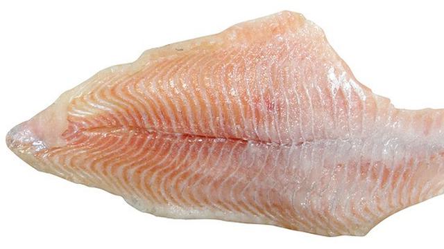 Ilustrasi lele fillet