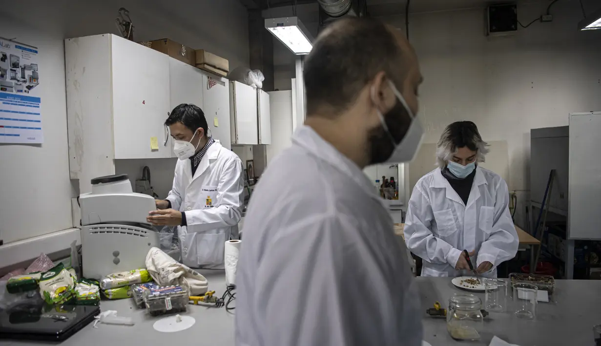 Insinyur makanan Roberto Lemus (kiri) bersama mahasiswa teknik makanan Marcelo Bertran (tengah) dan Alonso Vasquez memanipulasi makanan saat mereka bekerja di Laboratorium Universitas Chile, Santiago, Chile, 17 Juni 2022. Rumput laut cochayuyo yang dikeringkan, kentang tumbuk instan, dan air panas adalah bahan yang diperlukan untuk menu bergizi makanan cetak 3D. (Martin BERNETTI/AFP)