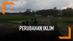 Badan UNICEF PBB mengeluarkan laporan terkait ancaman kepada 19 juta anak-anak Bangladesh hari Jumat (5/4). Ancaman tersebut diakibatkan oleh perubahan iklim global yang melanda kawasan Bangladesh.