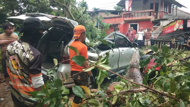 Satu unit minibus mengalami kerusakan parah setelah tertimpa pohon tumbang di Bandar Lampung