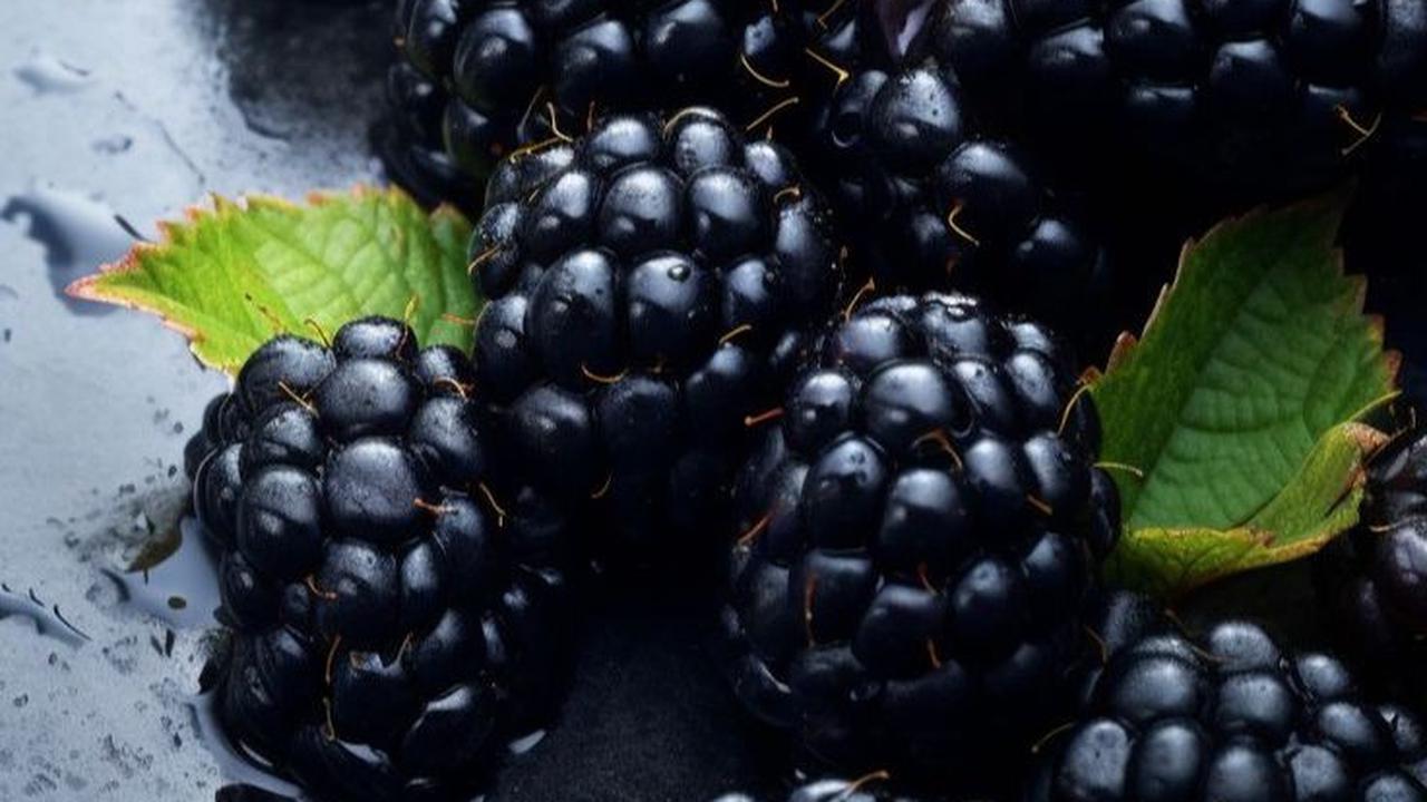 Blackberry