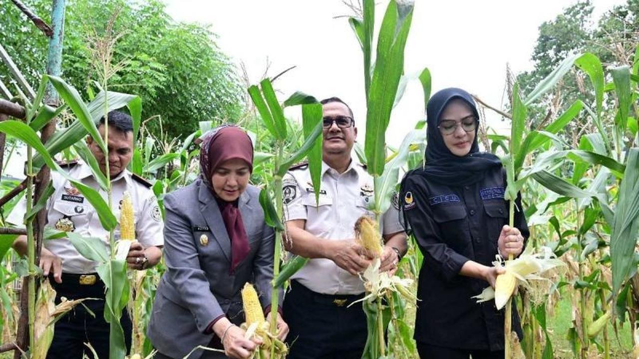 Warga Binaan Panen Raya Sulsel Hasilkan 2,6 Ton Pangan, Dukung Ketahanan Nasional dan Bantuan Bencana