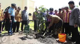 Wapres Jusuf Kalla didampingi Menteri LHK, Siti Nurbaya saat menanam pohon disamping Istana Siak Sri Indrapura seusai menghadiri puncak Hari Lingkungan Hidup 2016 di Kabupaten Siak, Riau, Jumat (22/7). (Liputan6.com/Faizal Fanani)