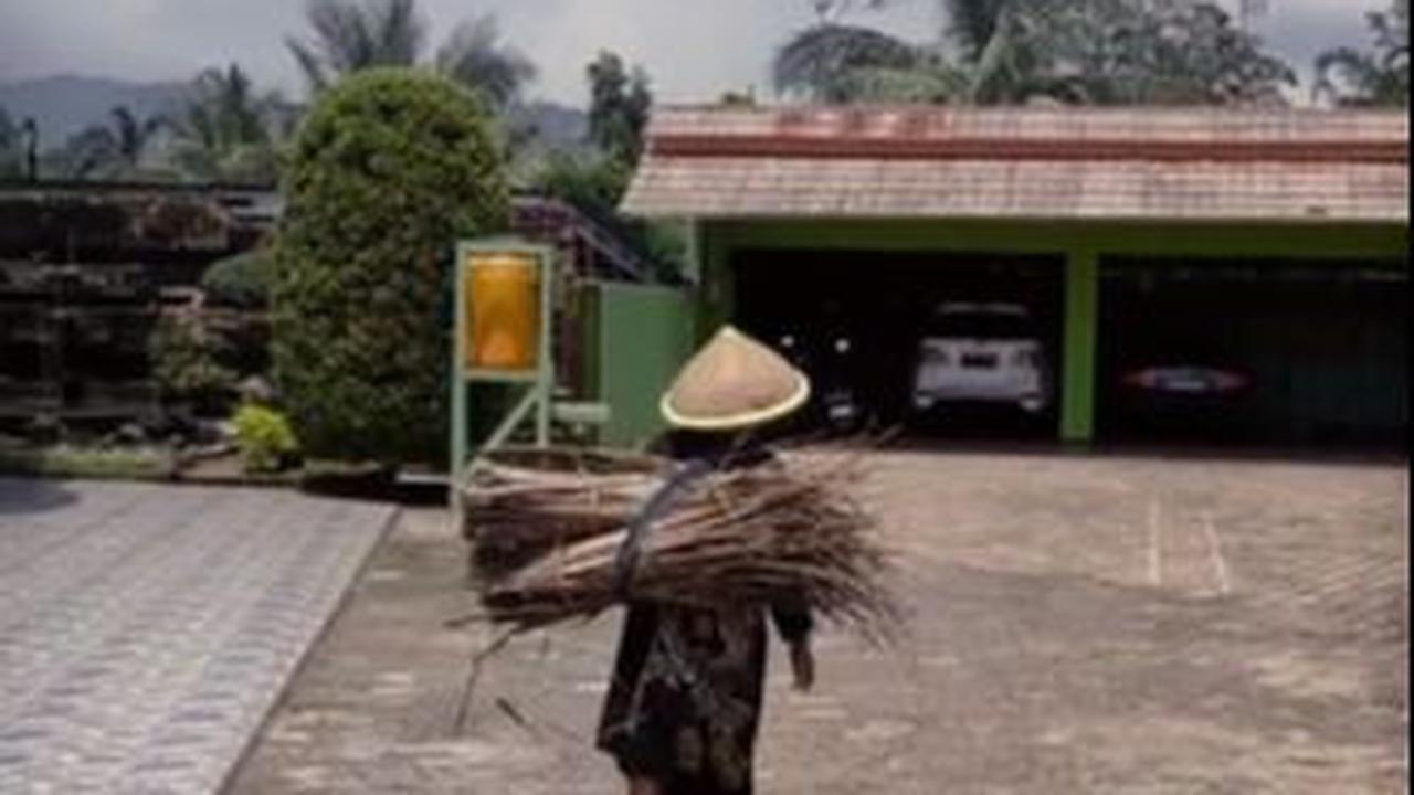 Bukan hanya rumah mewah nan halaman luas, terungkap pula jika sang nenek memiliki begitu banyak mobil yang terparkir di garasi samping rumah.