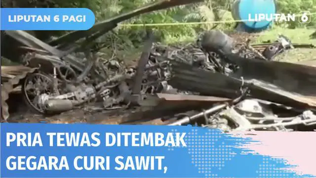 Kepergok mencuri sawit, seorang warga di Labuhanbatu Selatan, Sumatra Utara, tewas ditembak polisi yang menjaga lahan perkebunan. Protes terhadap kematian korban, ratusan warga pun merusak kantor perusahaan sawit dan membakar puluhan motor.