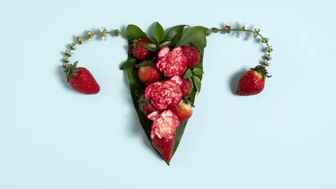 Ilustrasi kewanitaan