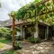 7 Ide Pergola dari Tanaman Sayur Rambat, Halaman Jadi Teduh dan Produktif