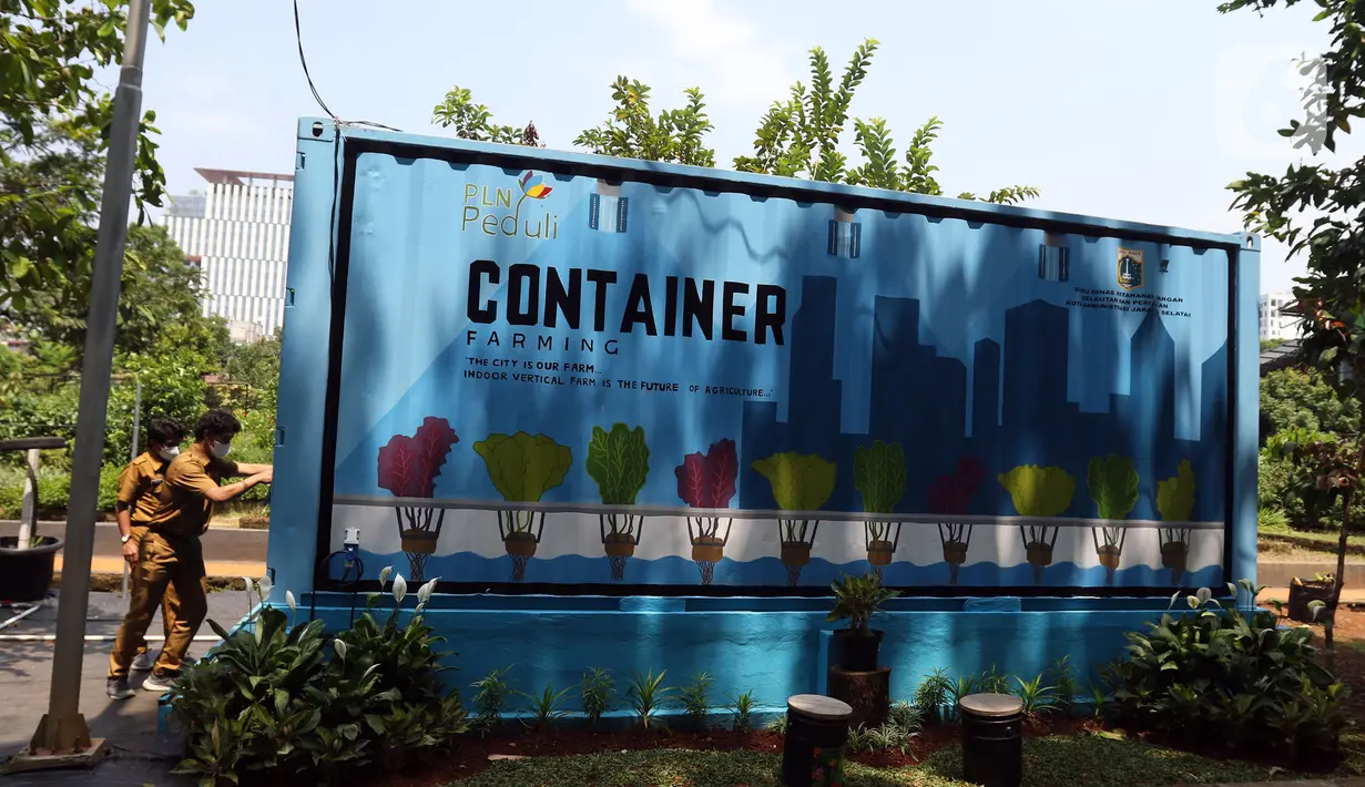 Petugas Suku Dinas KPKP Jakarta Selatan meninjau tanaman yang ditanam menggunakan teknik hidroponik dalam container farming dan agro electrifying di Agro Edukasi Wisata Ragunan, Jakarta, Selasa (12/10/2021). Budidaya dilakukan dengan memanfaatkan teknologi sinar UV. (Liputan6.com/Herman Zakharia)
