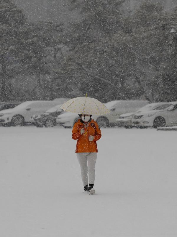 Seorang wanita yang memakai masker wajah sebagai pencegahan terhadap virus corona berjalan di salju di Goyang, Korea Selatan, Kamis (28/1/2021). Badan cuaca juga memperkirakan angin kencang dengan kecepatan maksimum lebih dari 20 meter per detik di sebagian besar wilayah negara itu. (AP/Lee Jin-man)