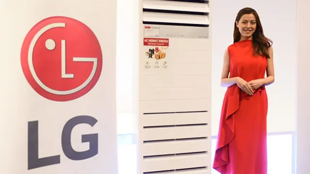 AC Floor Standing LG.