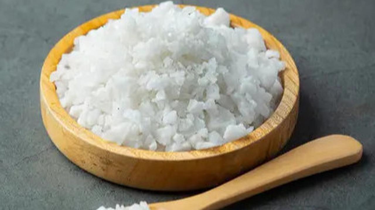 10 Trik Ampuh Menjaga Tanah Halaman Rumah agar Tidak Jadi Sarang Ular