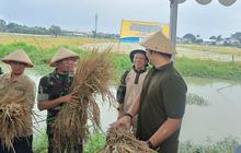 Jalankan Arahan Prabowo, Bulog Serap Gabah Petani dengan Harga Rp6.500 per Kg
