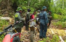 Kemenhut Kantongi Nama Pemilik Kebun Sawit Ilegal di TN Tesso Nilo, Siap Tindak Tegas Pelanggar