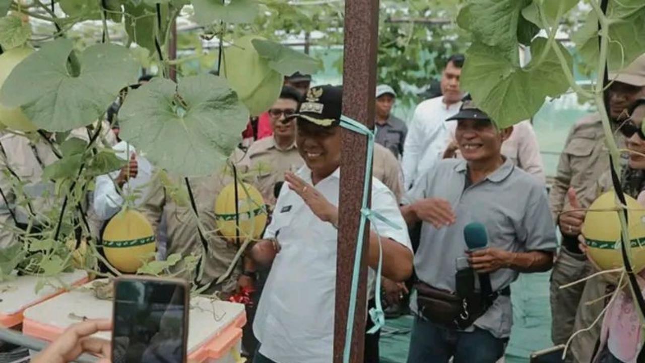 Pengembangan Melon Sumbawa Barat: Poto Tano Dicanangkan Jadi Lumbung Hortikultura