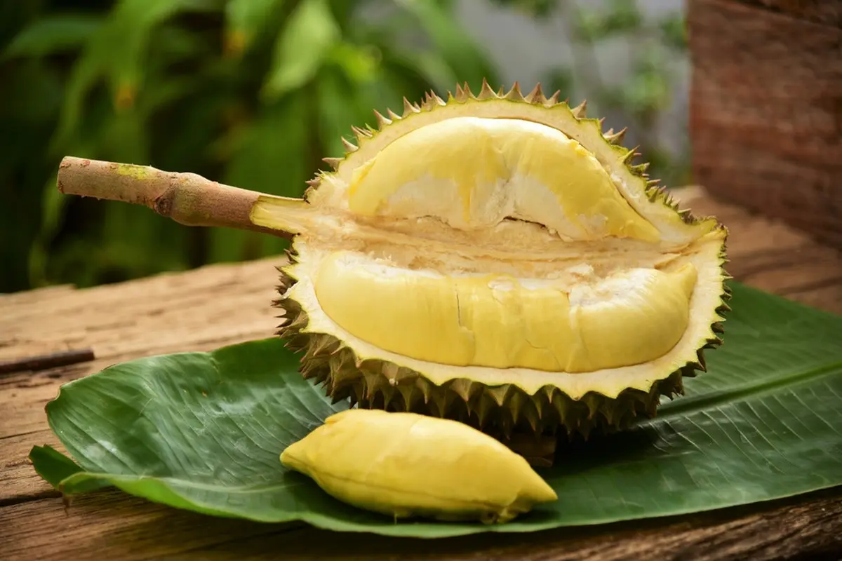 ilustrasi durian/taveesak srisomthavil/shutterstock