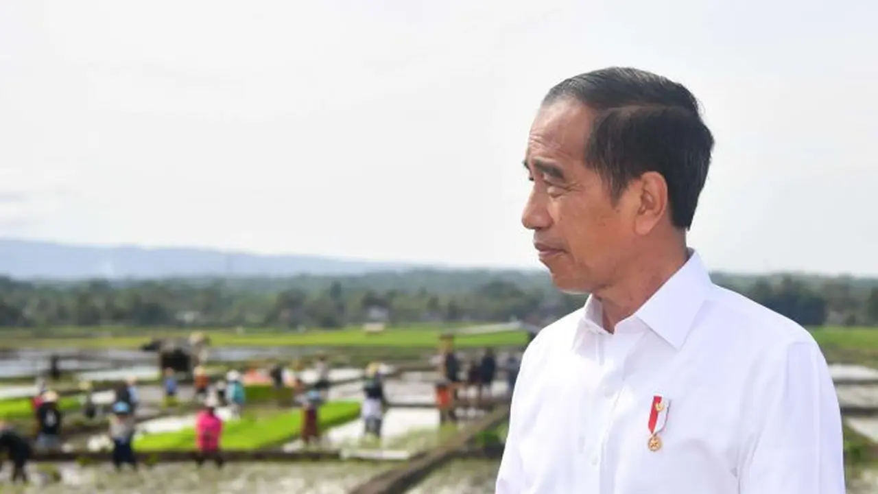 Presiden Joko Widodo meninjau kegiatan tanam padi di Kecamatan Kalibagor, Kabupaten Banyumas, dalam kunjungan kerjanya ke Provinsi Jawa Tengah, pada Rabu, 3 Desember 2024.