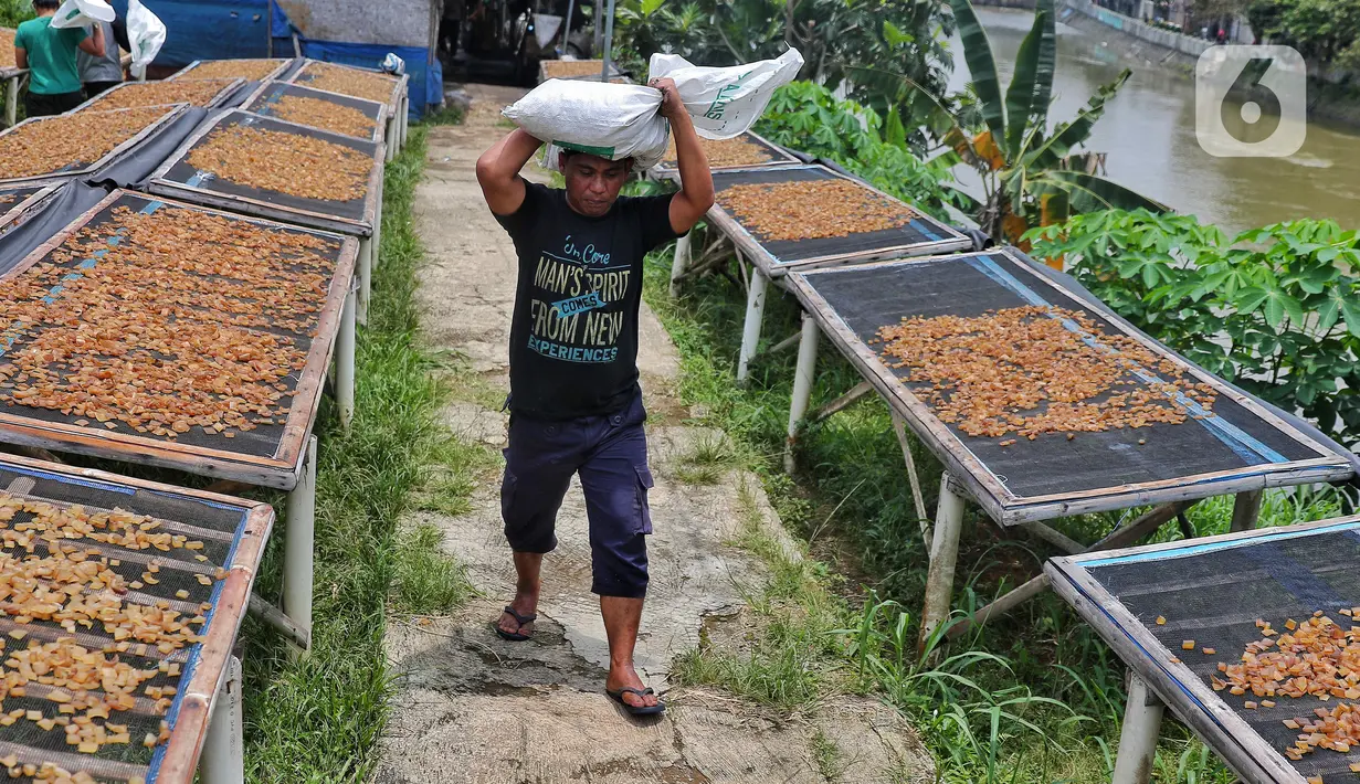 Pekerja berjalan di antara kulit sapi yang dijemur untuk pembuatan kerupuk kulit produksi rumahan di Katulampa, Bogor, Jawa Barat, Sabtu (17/9/2022). Menko bidang Perekonomian, Airlangga Hartarto mengatakan, urgensi peran UMKM menjadi perhatian utama pemerintah untuk dapat memberikan dukungan bagi pelaku usaha. Salah satunya melalui akses pembiayaan KUR yang besar. (Liputan6.com/Angga Yuniar)