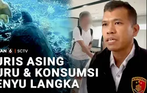 Turis Asing Buru dan Konsumsi Penyu Langka