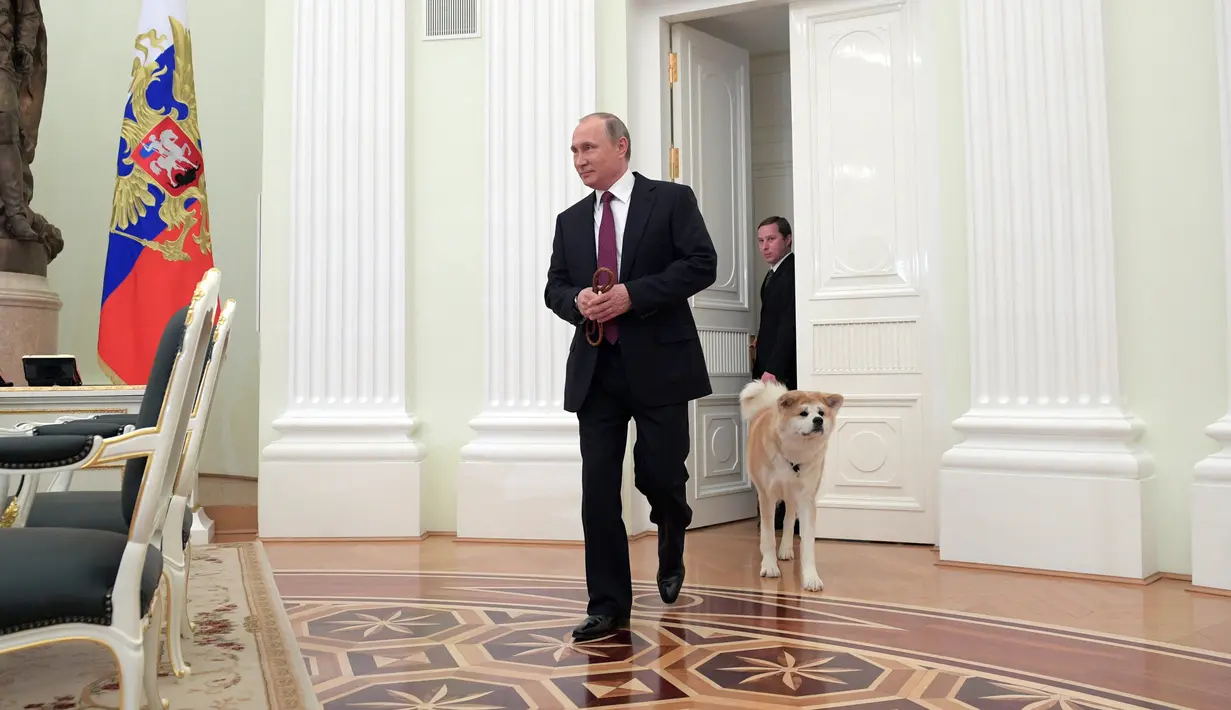 Presiden Rusia Vladimir Putin memasuki ruangan di temani anjingnya, Yume di Kremlin di Moskow, Rusia (7/12). Anjing Akita betina tersebut merupakan pemberian Jepang pada tahun 2012.  (Sputnik/Kremlin/Alexei Druzhinin via Reuters)
