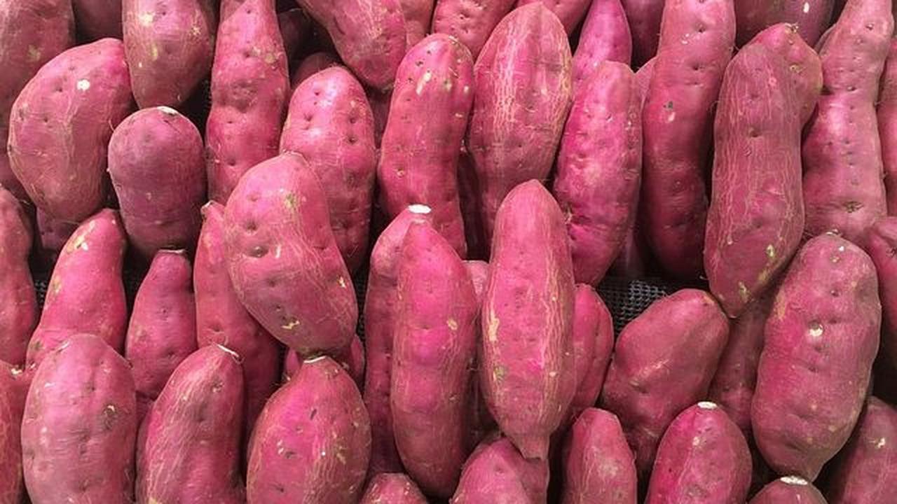 Fokuskan penjualan di pasar lokal