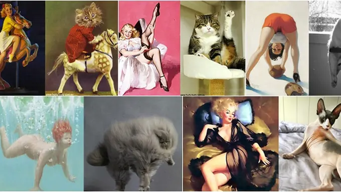 Foto copyright hurly-burly.com.au