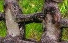 Jadi Bahan Penelitian Arkeolog UGM, Ini Fakta Menarik Arca Mejan Patung Mistis Suku Pakpak