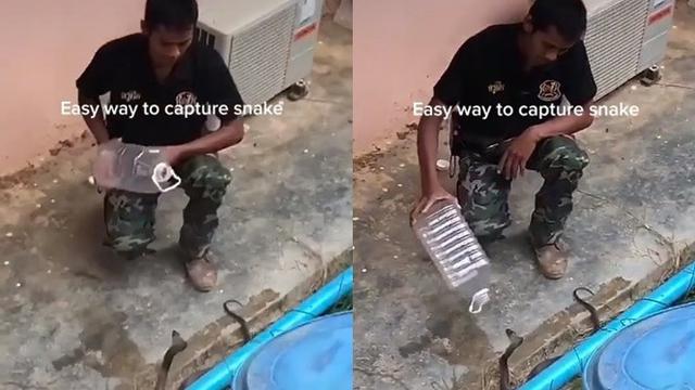 Viral Video Tangkap Ular Kobra Dengan Botol Minum Bikin Deg Degan Hot Liputan6 Com