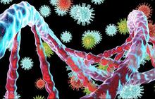 Ilmuwan Ungkap Virus Purba Punya Peran Besar dalam Evolusi Manusia, Nenek Moyang Kita Jadi Bisa Berkembang