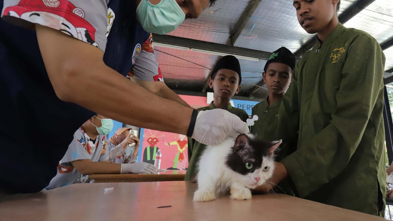 FOTO: Cegah Rabies, Pemkot Jaksel Gelar Vaksinasi Gratis untuk Hewan Peliharaan