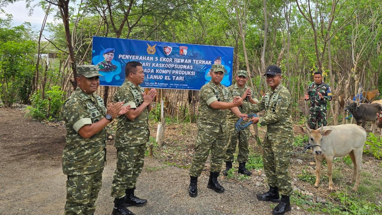 TNI AU
